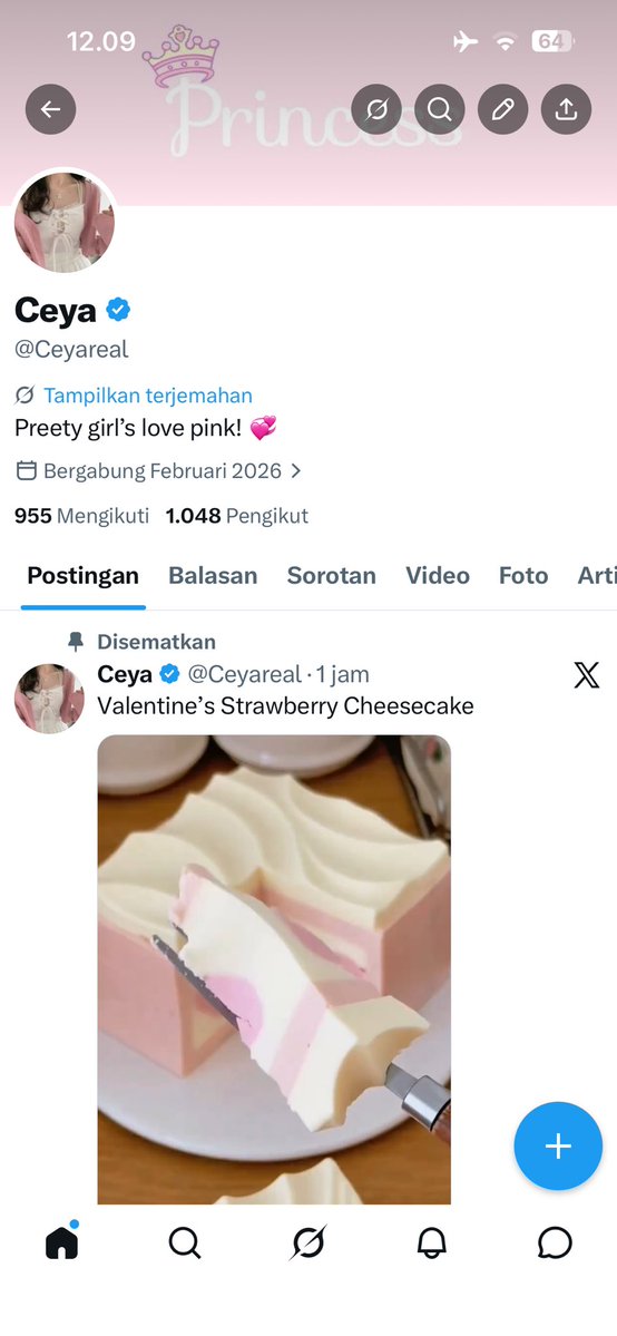 Ceya tweet media