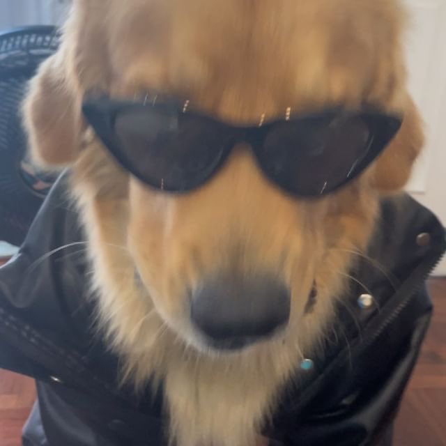 geni ft.odyssey (@surfingtonni) on Twitter photo 