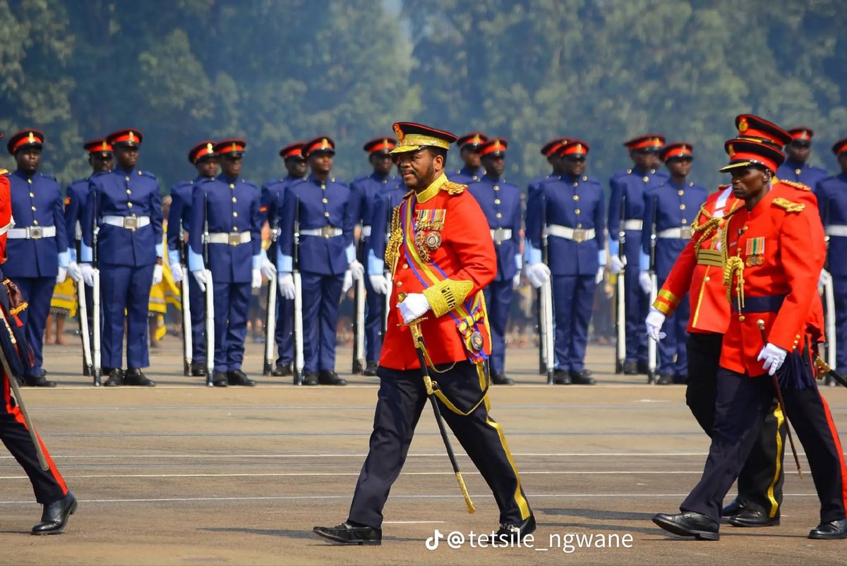 Cole Msk🇸🇿 tweet media