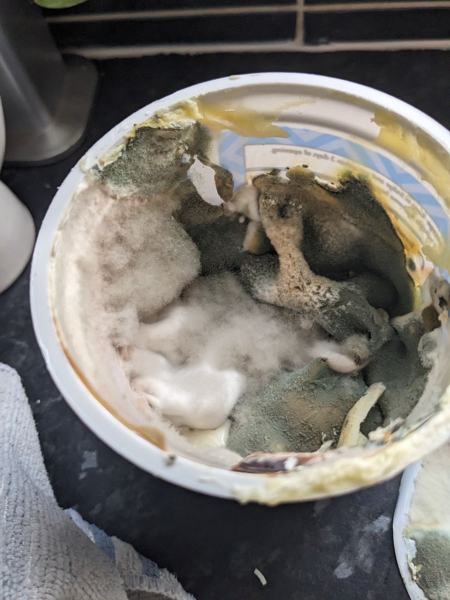 𝓒assiel ♡ SHEDTWT tweet media