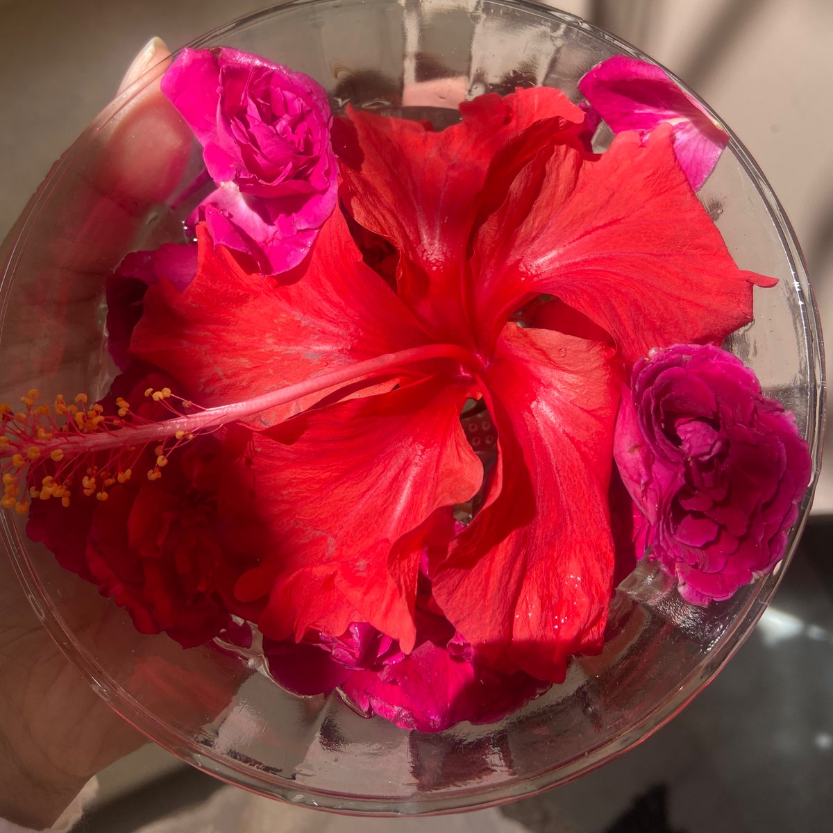 shreemastrology's tweet photo. Can you tell I’m lovestruck by Her?

Happy Maasik Durgashtami ♥️🌹

May the Red One remain victorious forever. 

Jai Jai Ambe! 🥰 https://t.co/E9bkt8BQSd