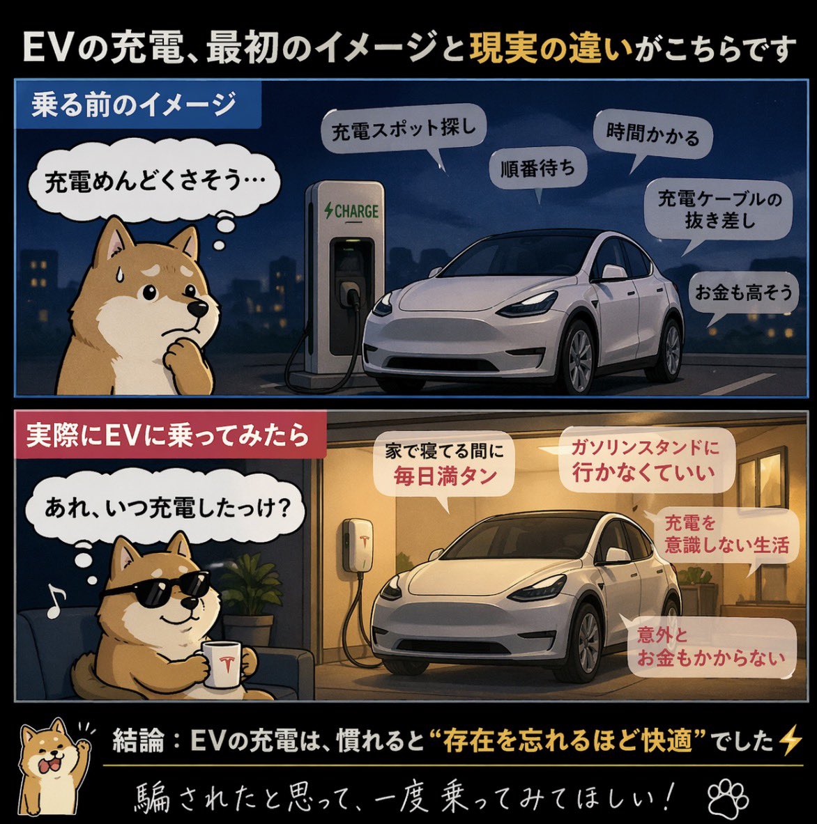 MJ🦔モデルYジュニパー tweet media