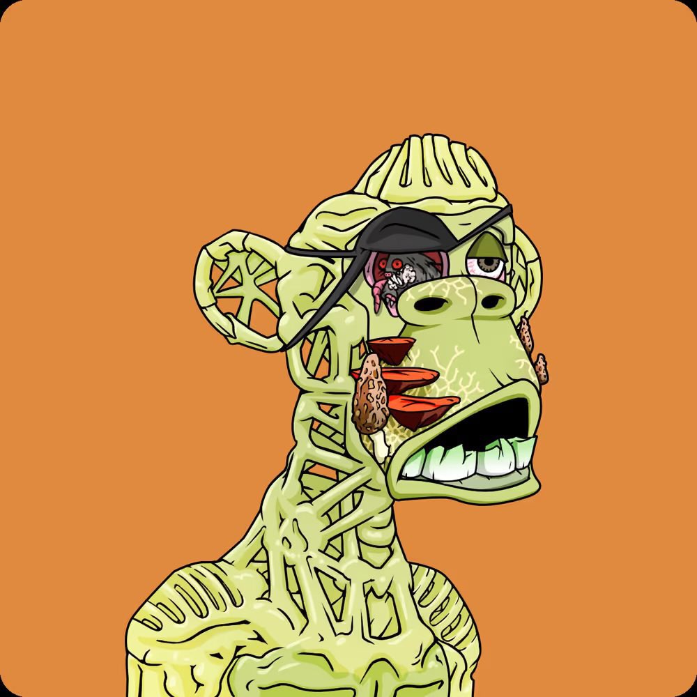 🧪J🅿️eezySats (Polite arc)💙 tweet media
