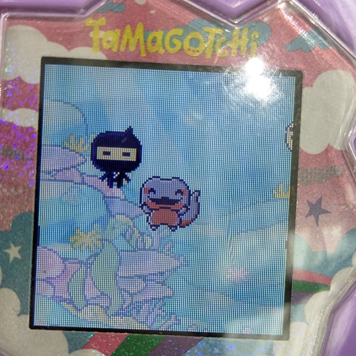 忍者があそびにきた