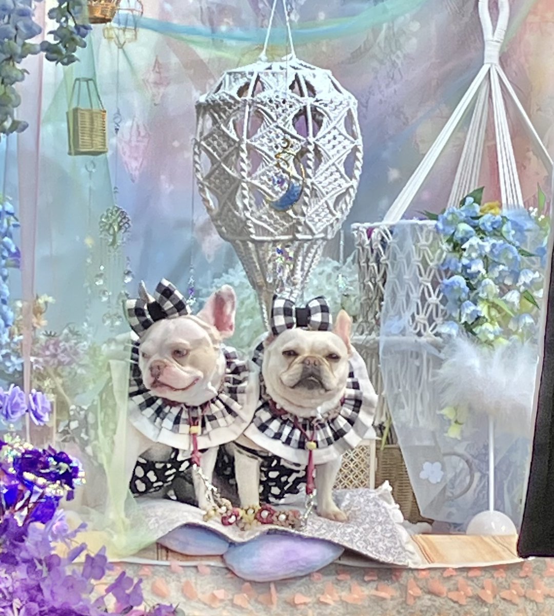 G G B 😎 tweet media