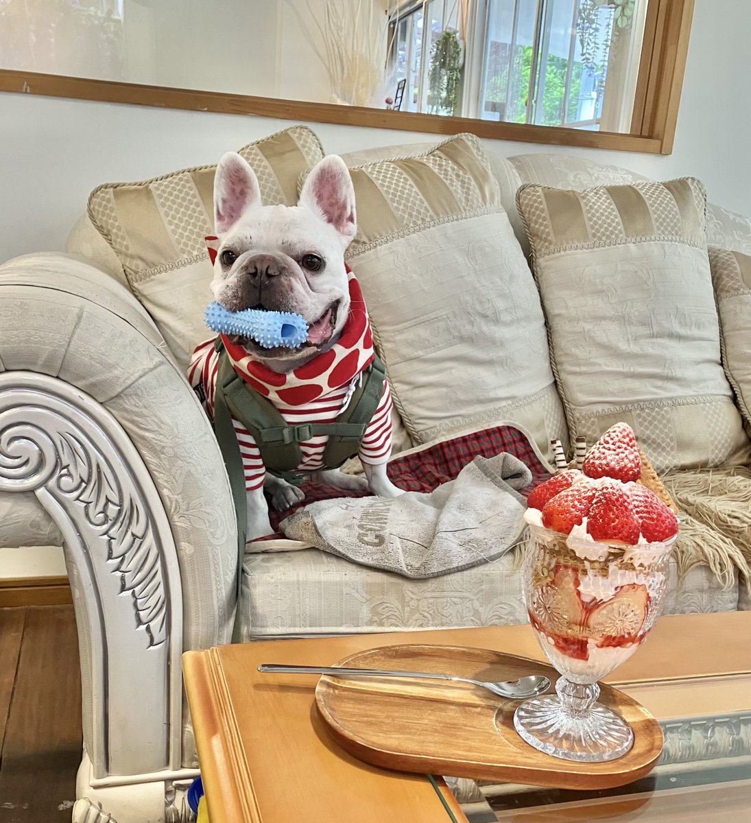 G G B 😎 tweet media