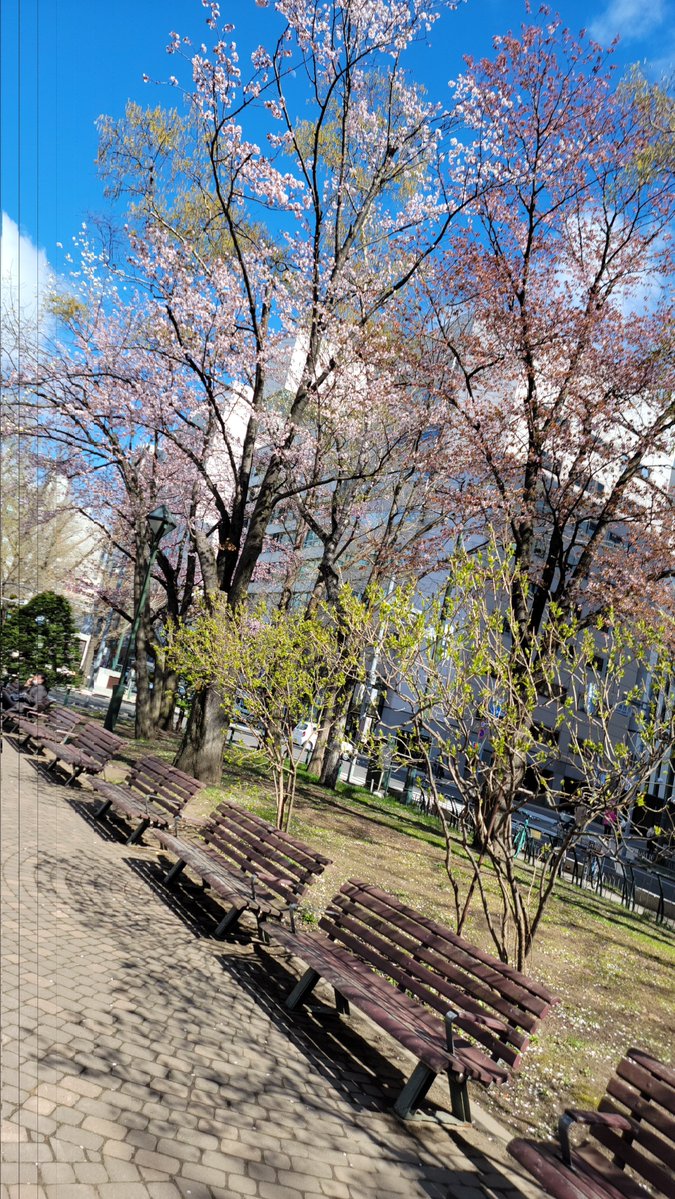 Jack@肉体造形中 tweet media