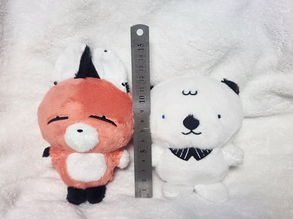 이 뚱쭝이는 오늘의 상이에요 tweet media