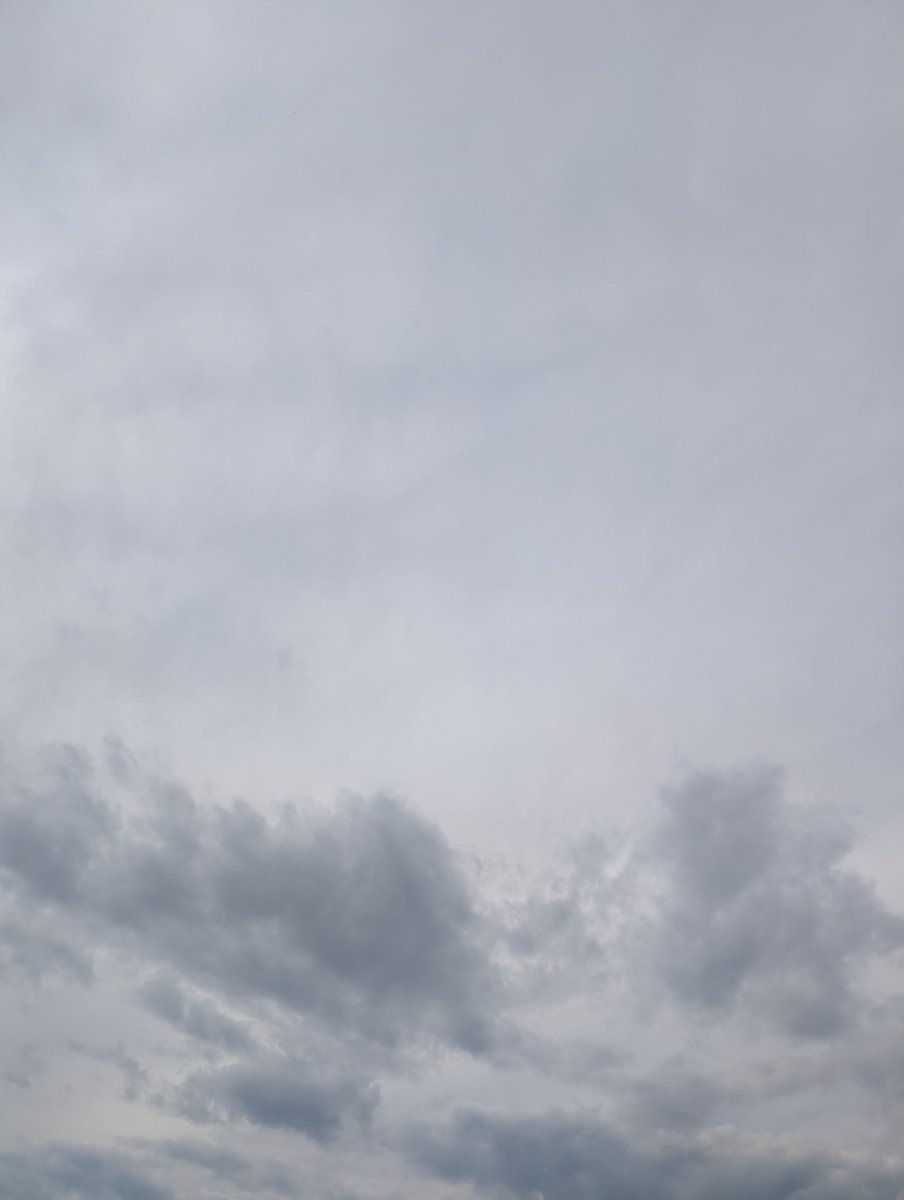 今日のお昼は
「生姜焼丼」
さぁスタミナ付けて
午後もガンバろう💪
＃生姜焼丼
＃いまそら
＃イマソラ