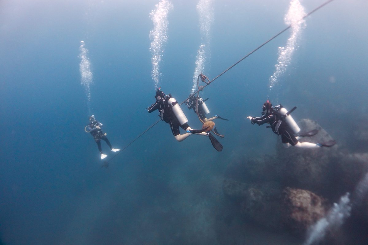 GoProIDCKohTao's tweet image. The best way to learn and succeed in the professional world of scuba diving is “hands-on” training. As IDC Koh Tao provide the full range of PADI dive courses, with plenty of opportunities to take part in a wide variety of training. idckohtao.com #Kohtao #training