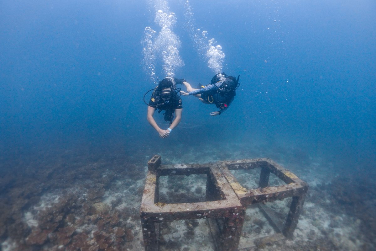 GoProIDCKohTao's tweet image. The best way to learn and succeed in the professional world of scuba diving is “hands-on” training. As IDC Koh Tao provide the full range of PADI dive courses, with plenty of opportunities to take part in a wide variety of training. idckohtao.com #Kohtao #training