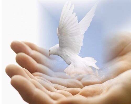 Zion Church CN tweet media