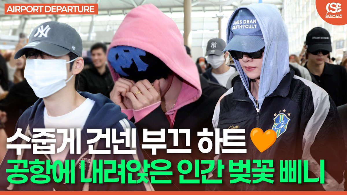 일간스포츠 주접 존웄