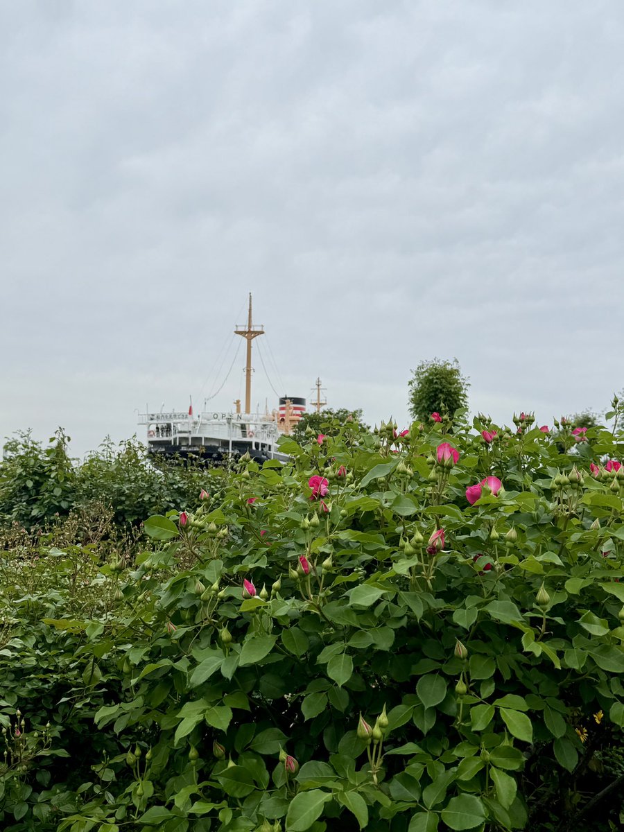 かぷっこ。@Vライバー tweet media