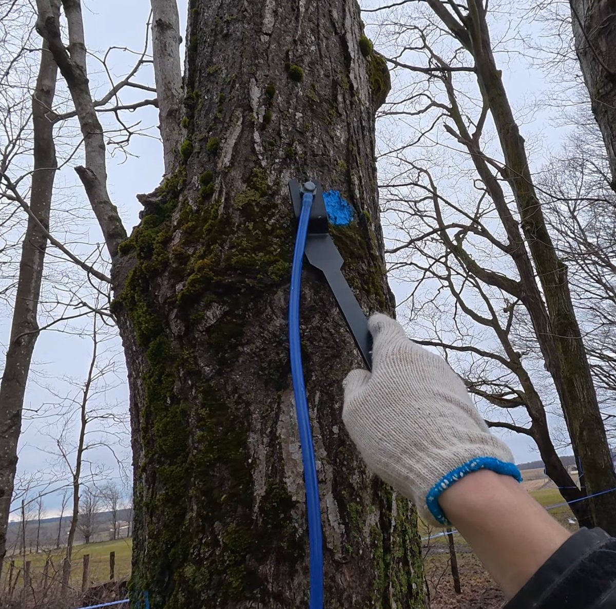 🦅🦅Mike🦅🦅 tweet media