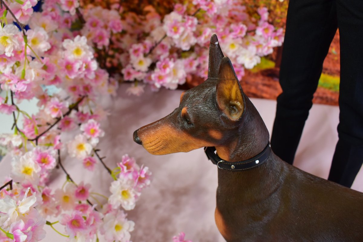 studio Edelstein(スタジオ エーデルシュタイン) tweet media