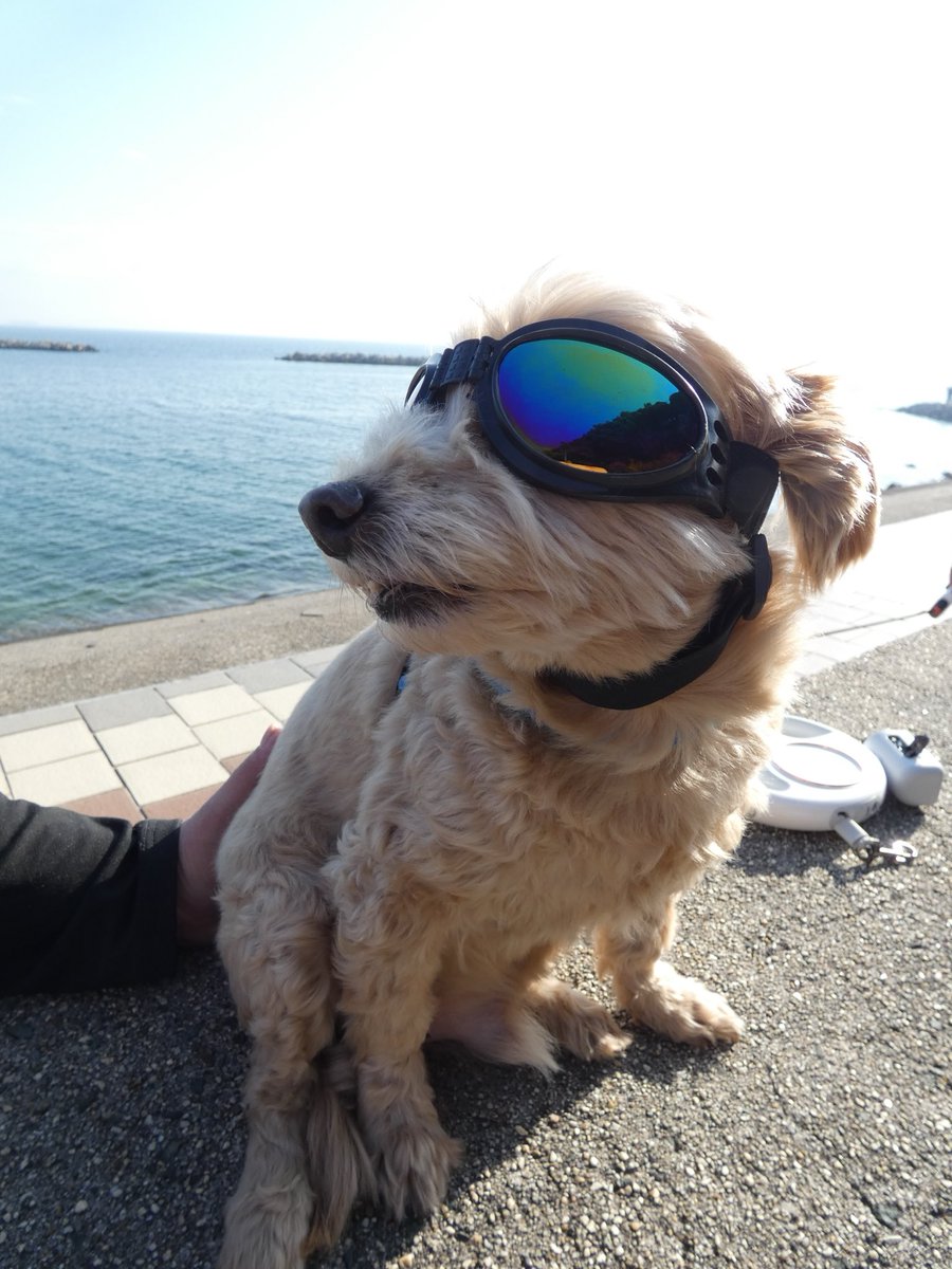 僕はうどん🍜 tweet media