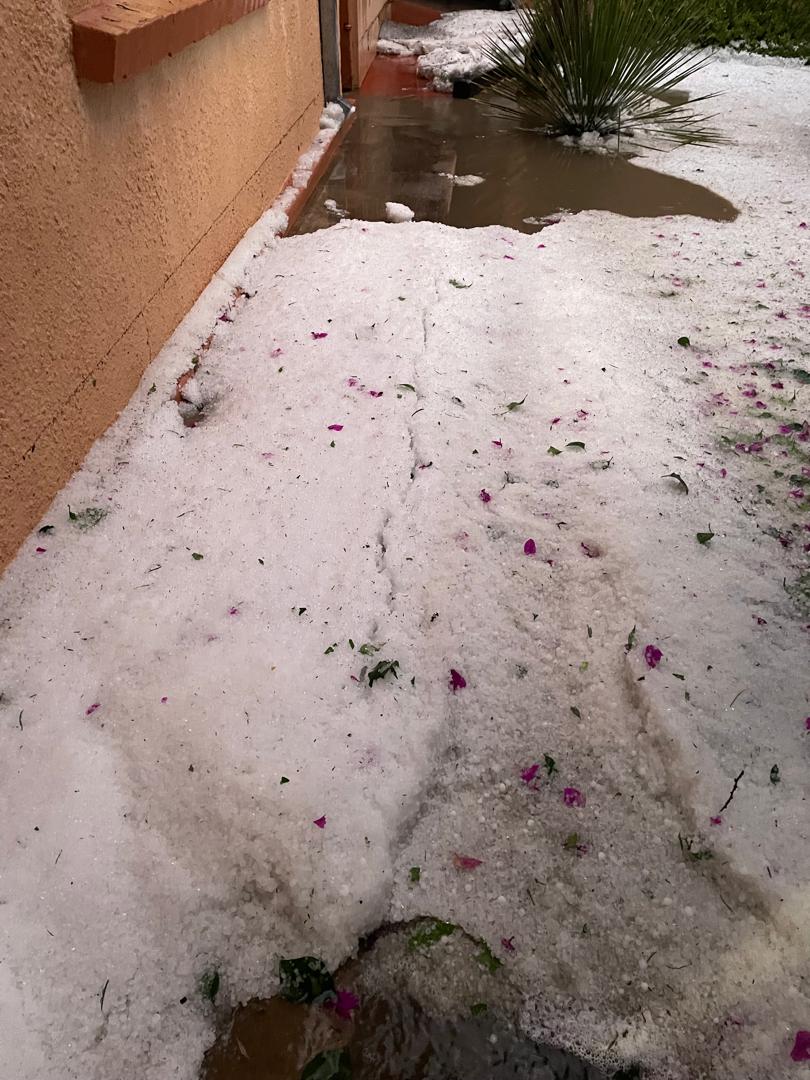 GondwanaLodges's tweet image. Not snow. Hail. In Namibia. 🌩️ Okahandja woke to a carpet of ice yesterday — 23 April 2026 — as a surprise storm rolled through. One of those moments that reminds you this country still has the capacity to astonish. #Namibia #Okahandja #GondwanaLodges