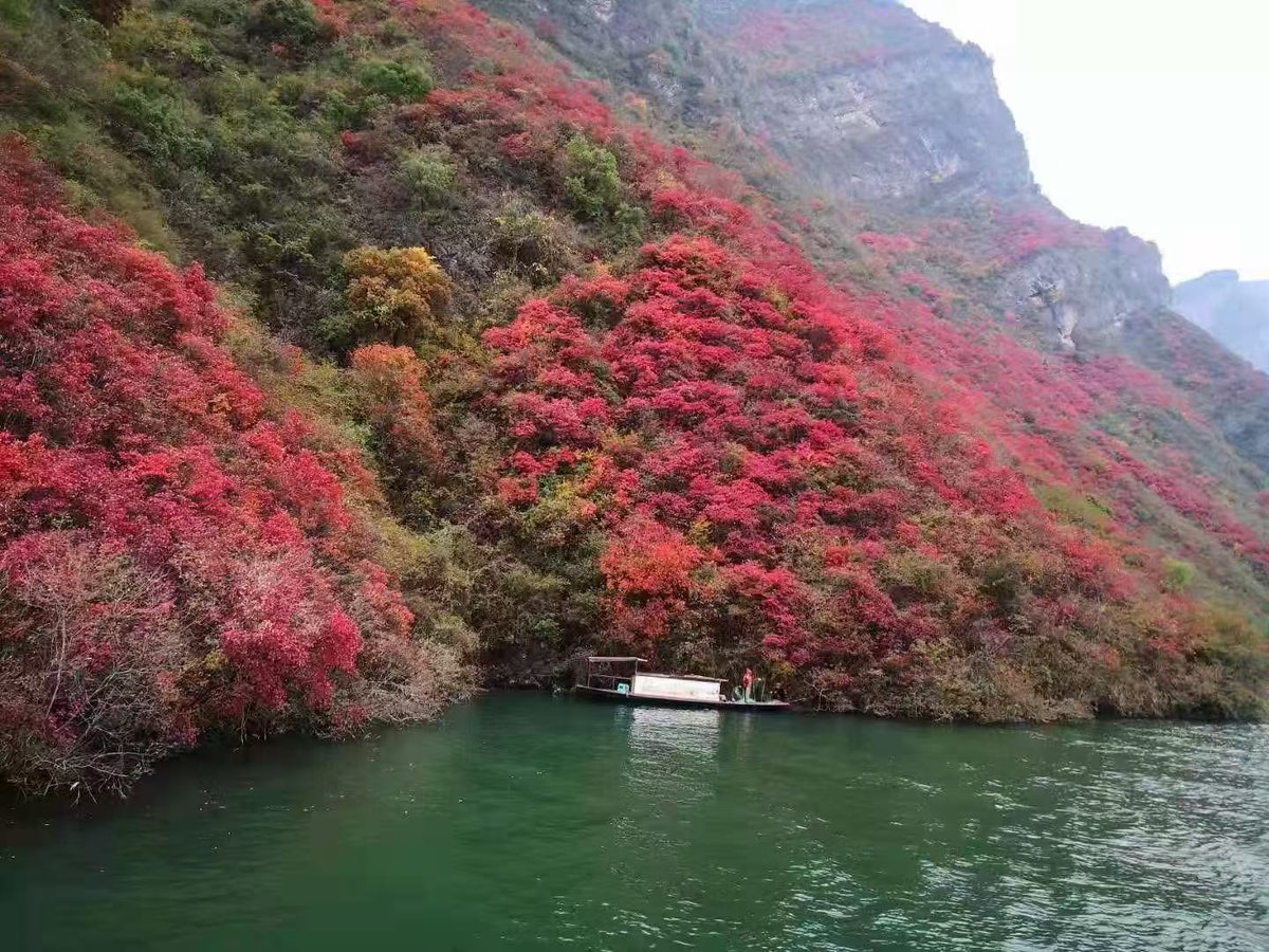 benben（follow back） tweet media