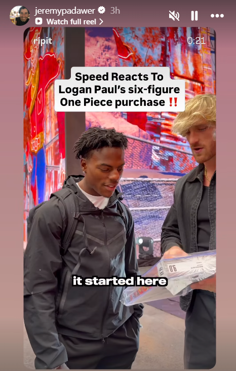 David Evelyn 🇯🇵 4/17~5/28 tweet media