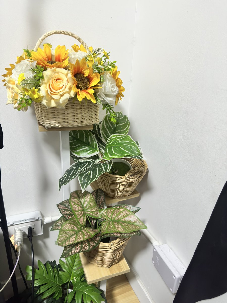 𝐌𝐫𝐬 Ⓛⓞⓑⓢⓣⓔⓡ𝐐𝐮𝐞𝐞𝐧🪙🤝🕯️ tweet media