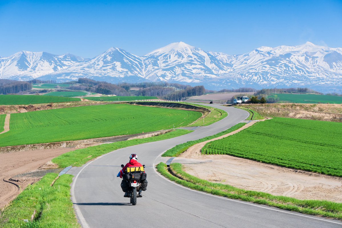 みーごろ tweet media