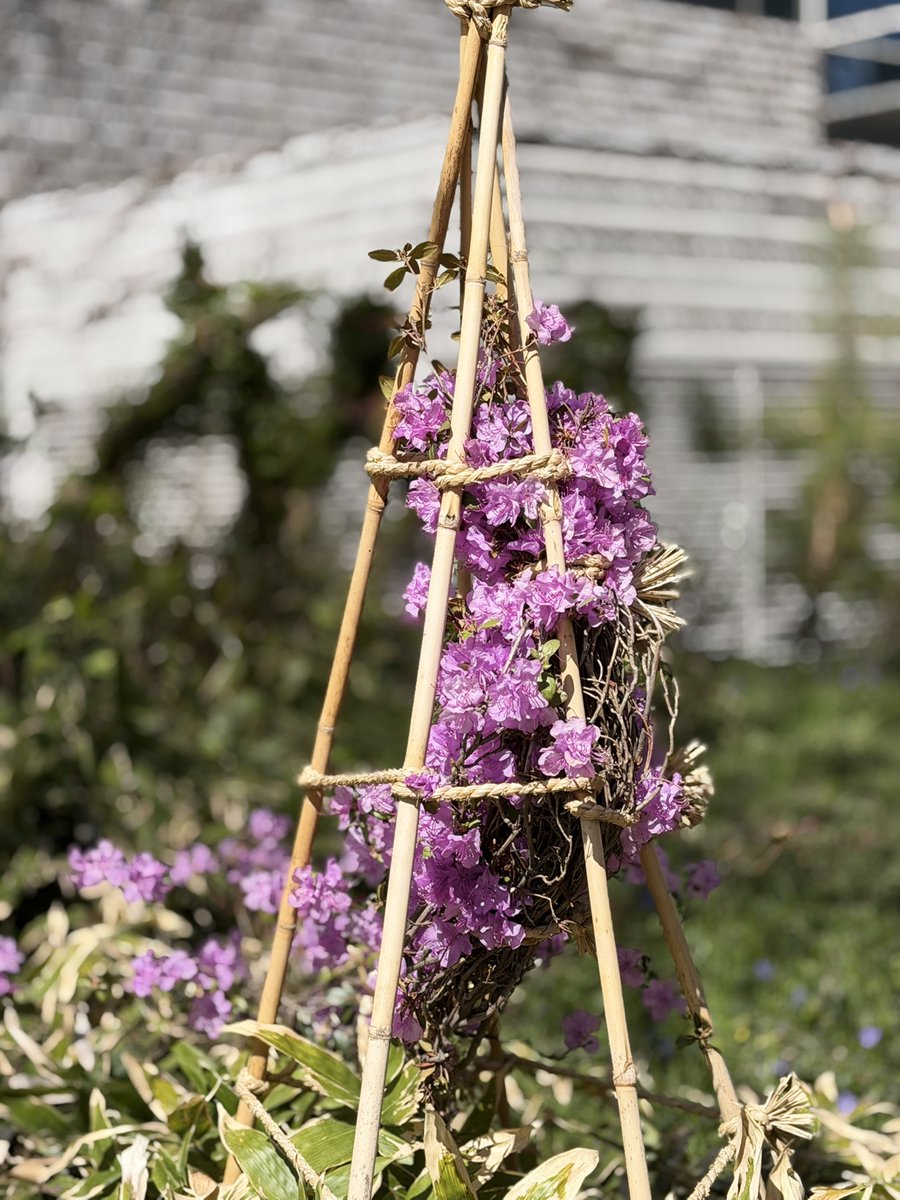 キュンちゃん【公式】 tweet media