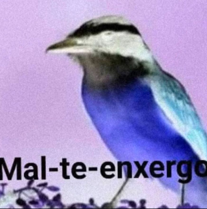 Oniris_fds's tweet photo. @Sardzet Ele quem?
Esse cara nem existe https://t.co/XR0tp6APZx