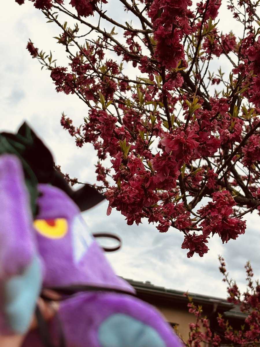 わだかば/汝はファンブラー tweet media