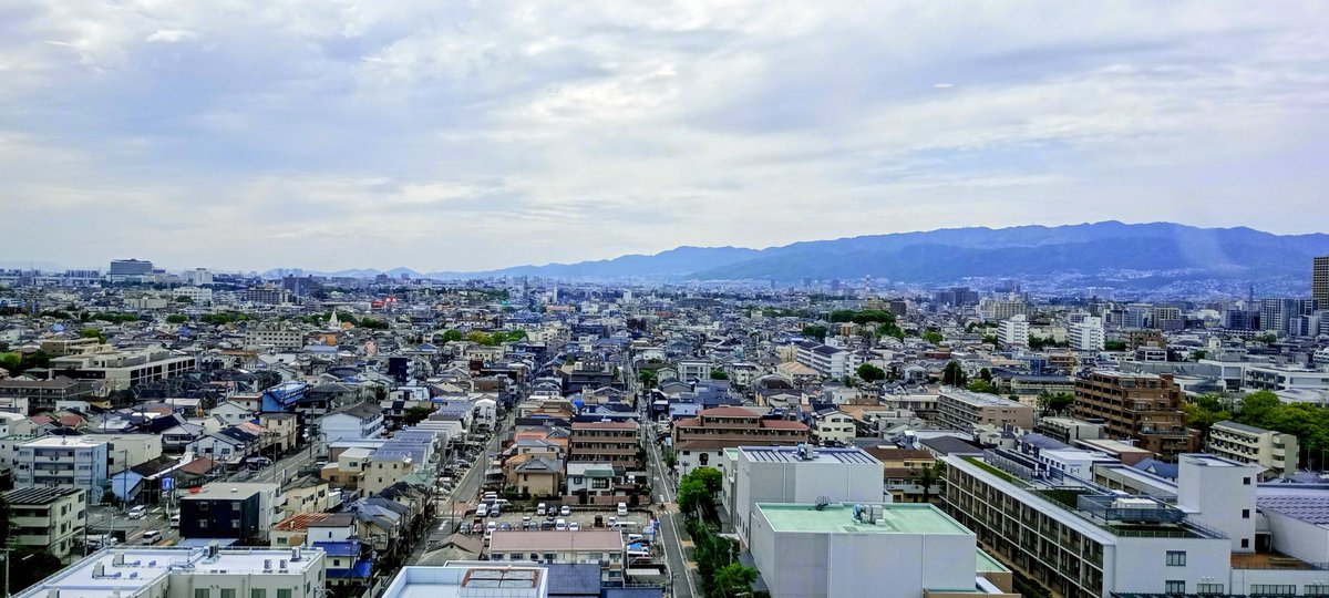 mitsu tweet media