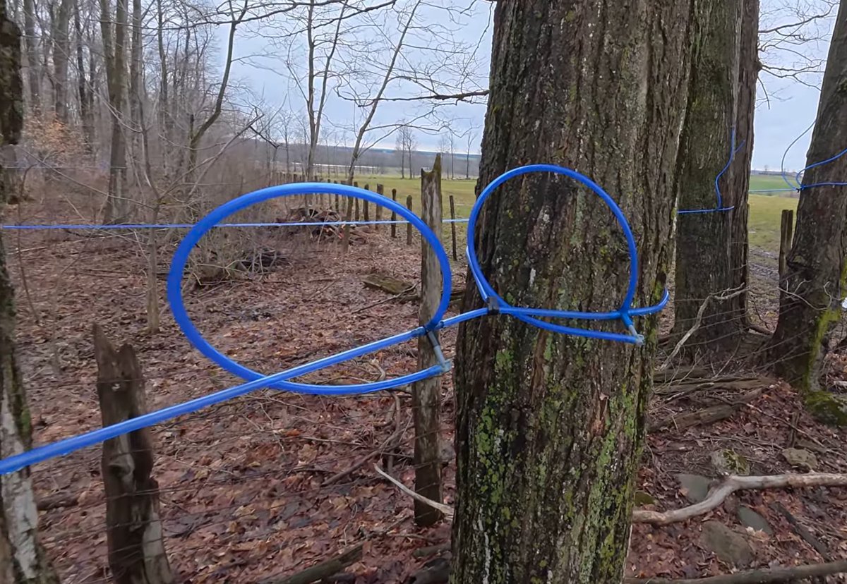 🦅🦅Mike🦅🦅 tweet media