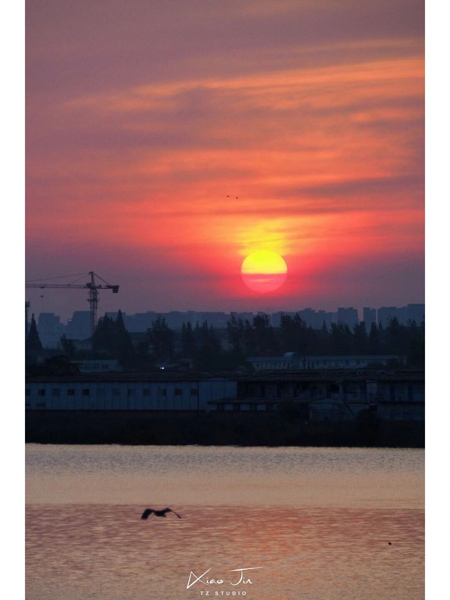 lorena carriel tweet media