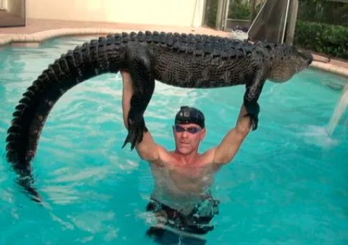 yuki⁷ ARIRANG OUT NOW tweet media