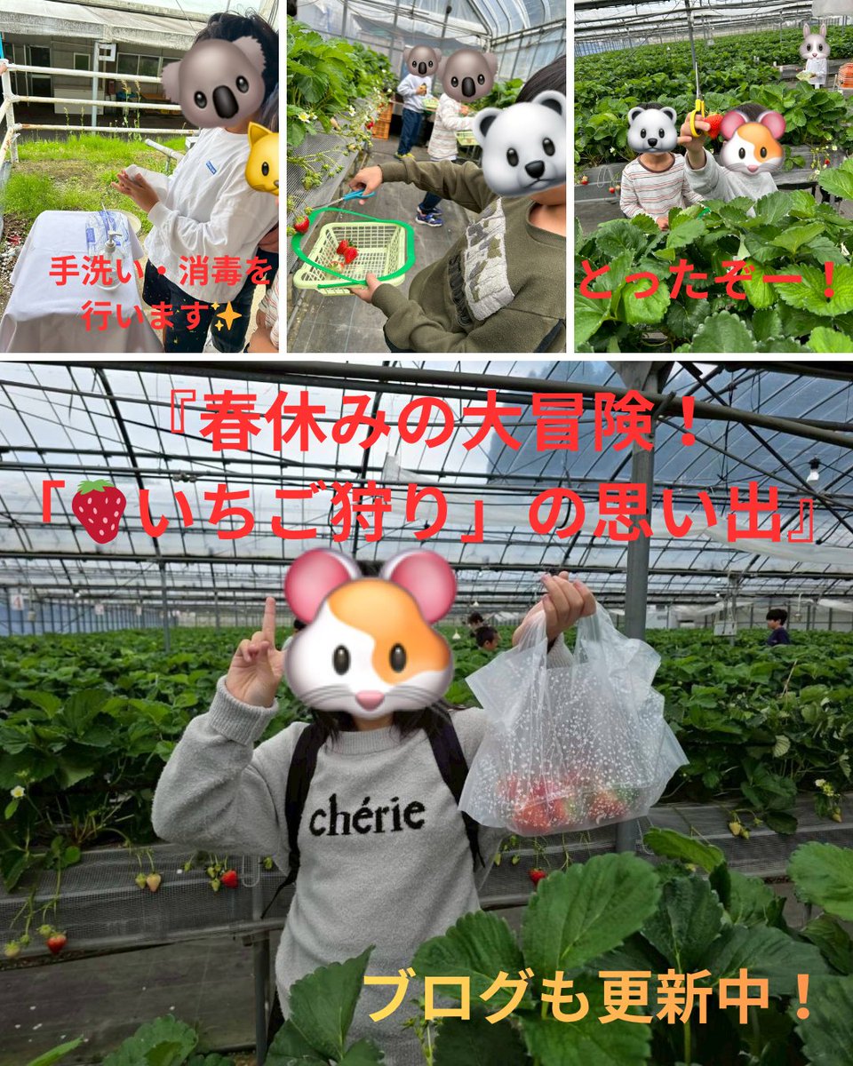 WillGo_KG's tweet photo. ããã«ã¡ã¯ð Will Goã§ãð
ã¿ããªã§ãã¡ãç©ããžè¡ã£ãŠããŸããâš
ã500åäºç®ãã§ã®åç©«äœéšãéããèªåã§éžã¶åãåªãããè²ã£ãŠããå§¿ã«æåããŸããð¥º
掻åã®æ§åãããã°ã§ç޹ä»ããŠããŸãïŒ
https://t.co/ui8Wu7PC6h
#æŸèª²åŸçãã€ãµãŒãã¹
#鹿å
å³¶
#çè²
#WillGo
#ãã¡ãç©ã https://t.co/dpWR4JlbqP