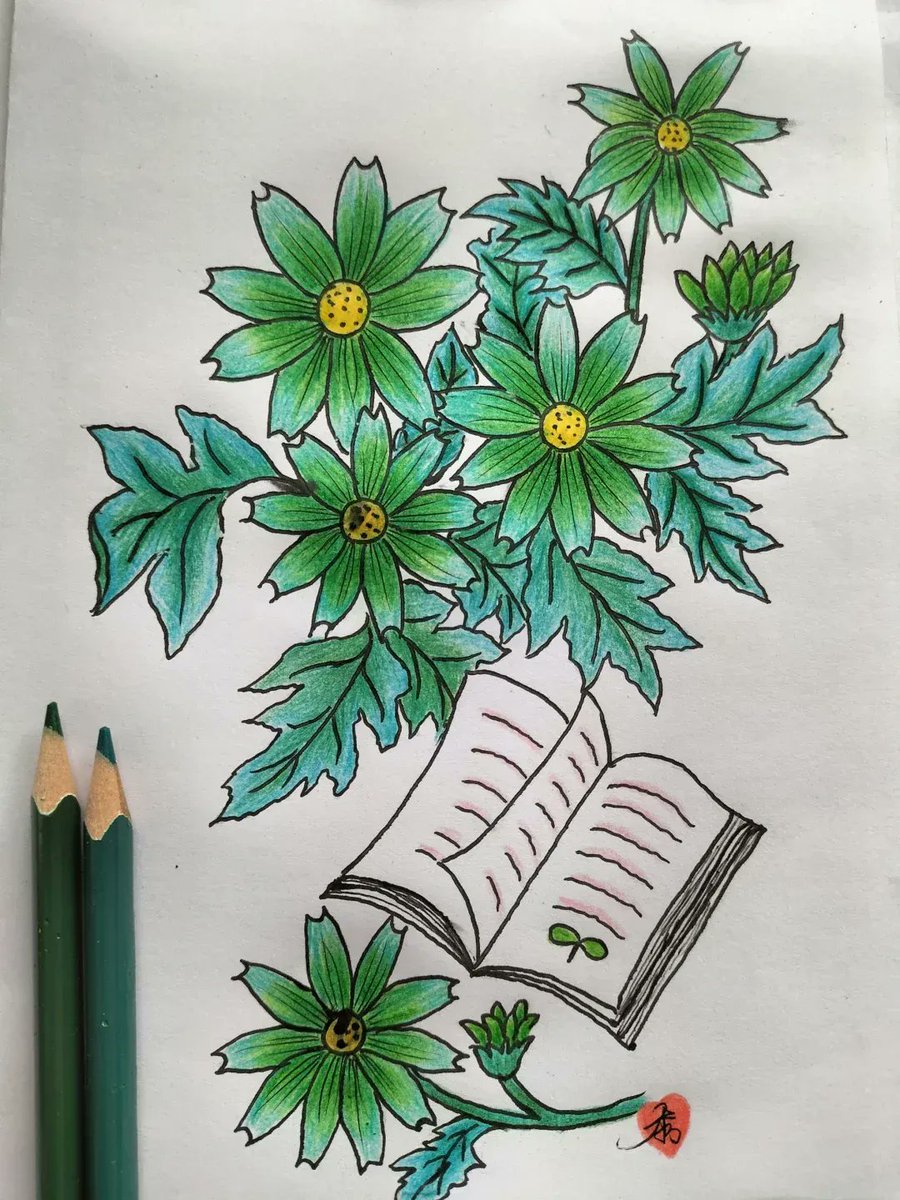 Bruno Cabral tweet media