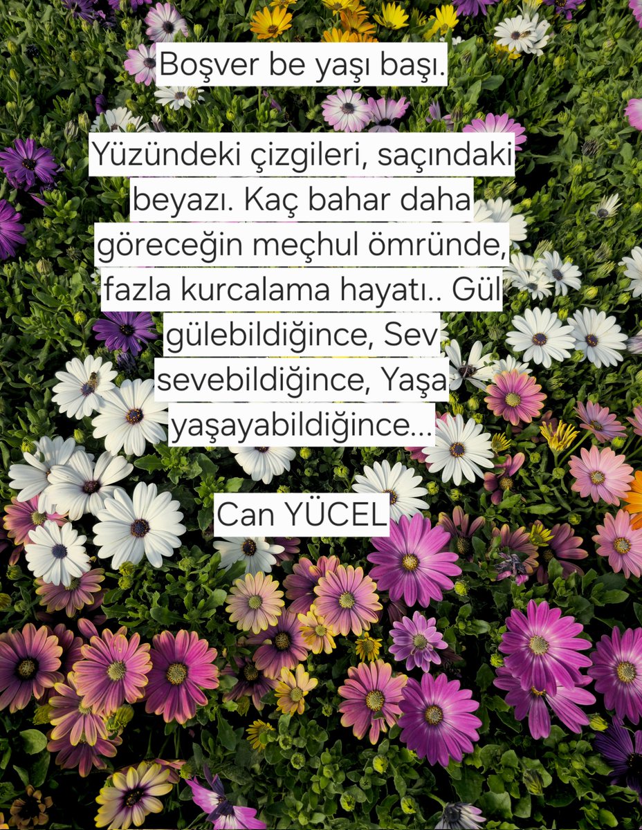 Deli Kraliçe 👑 tweet media