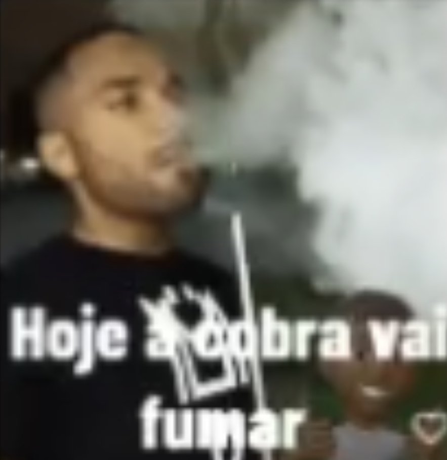 RAEL🪼 tweet media