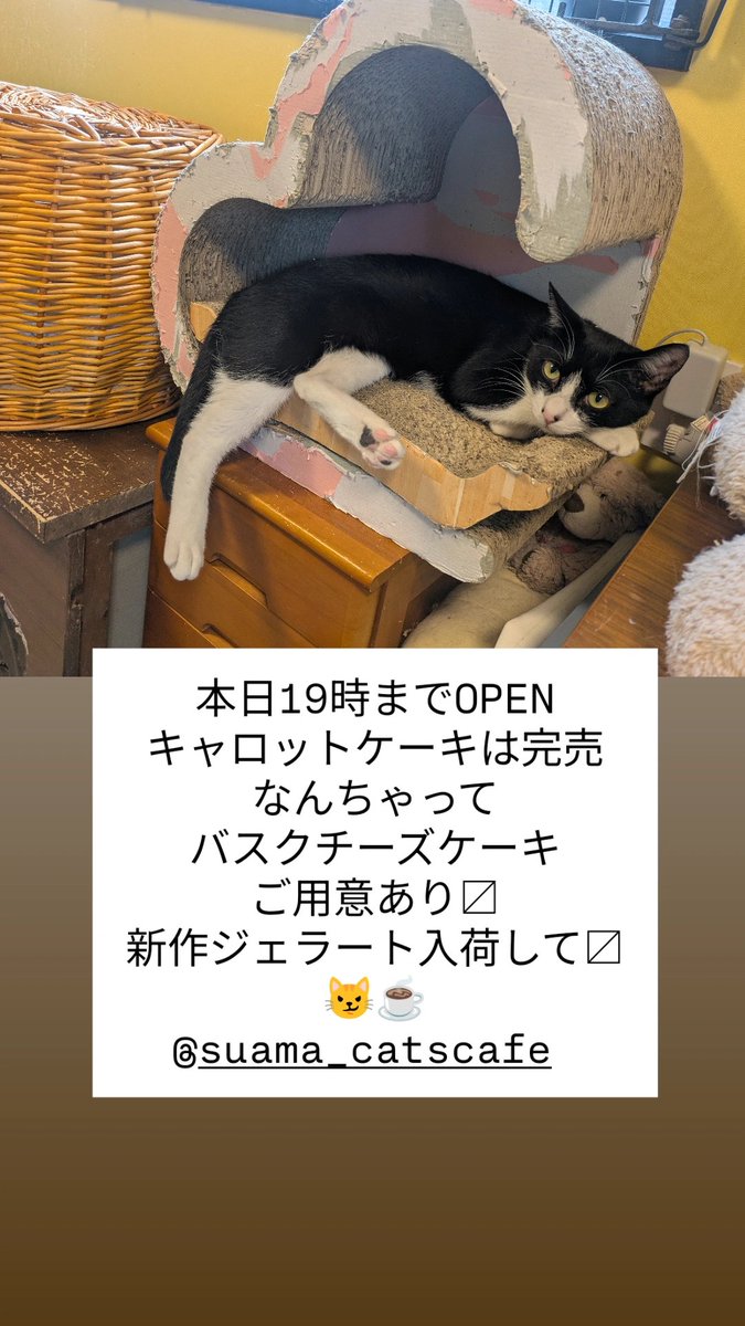 memezo's tweet photo. 遅ればせながら
ﾌﾗｲﾃﾞｰ大山deお待ちしてますよー
@suama_catscafe https://t.co/anf99H8i5x