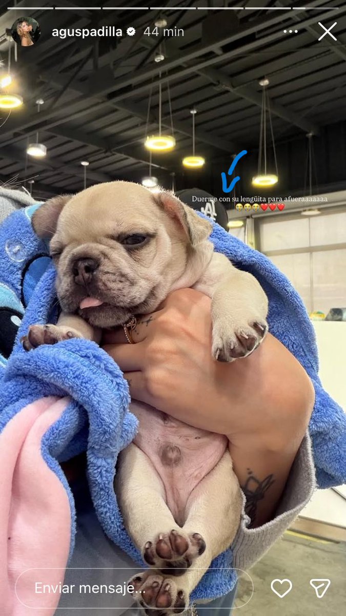 Santiago tweet media