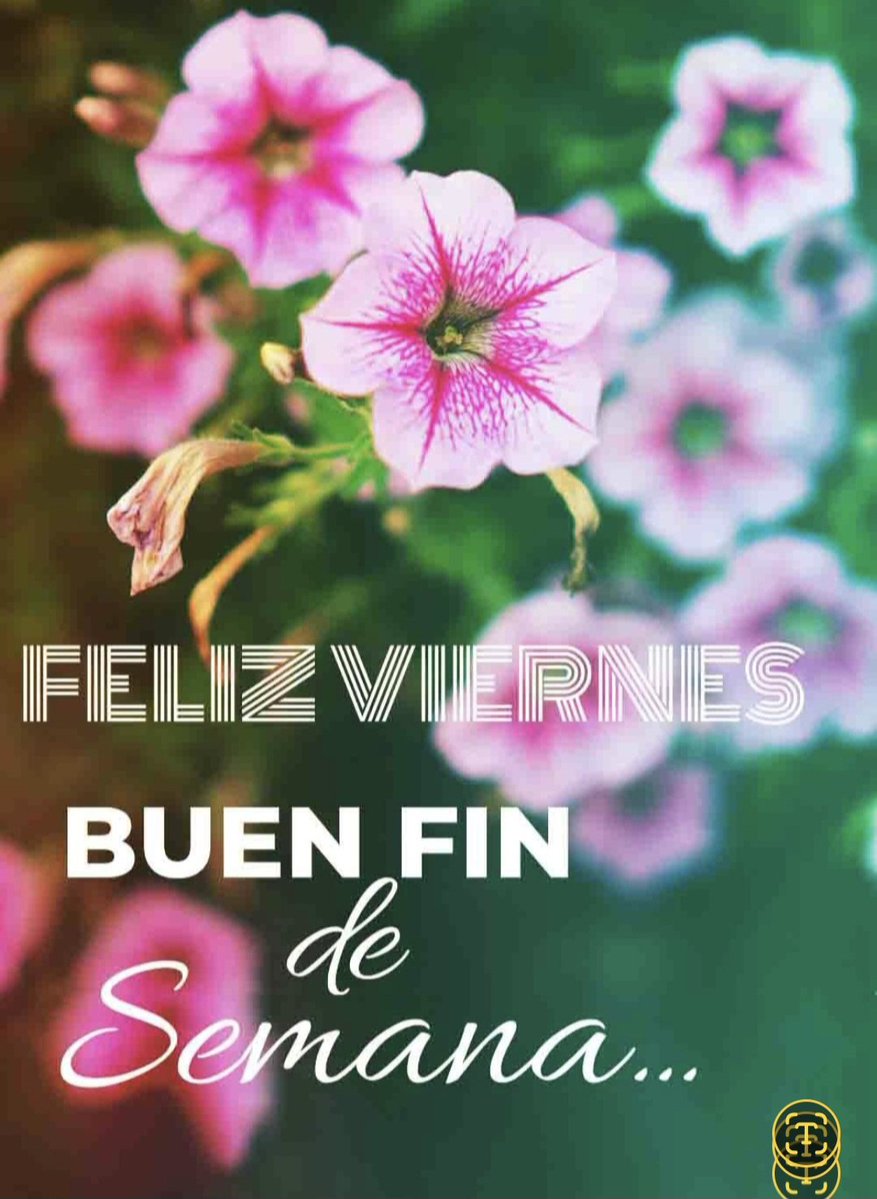 Pablo Priego Jimenez tweet media