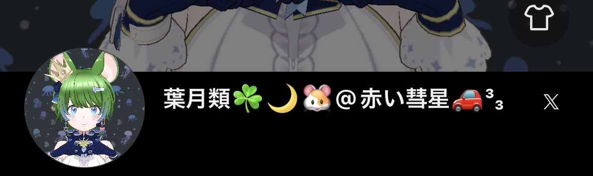 葉月類☘️🌙🐹 tweet media