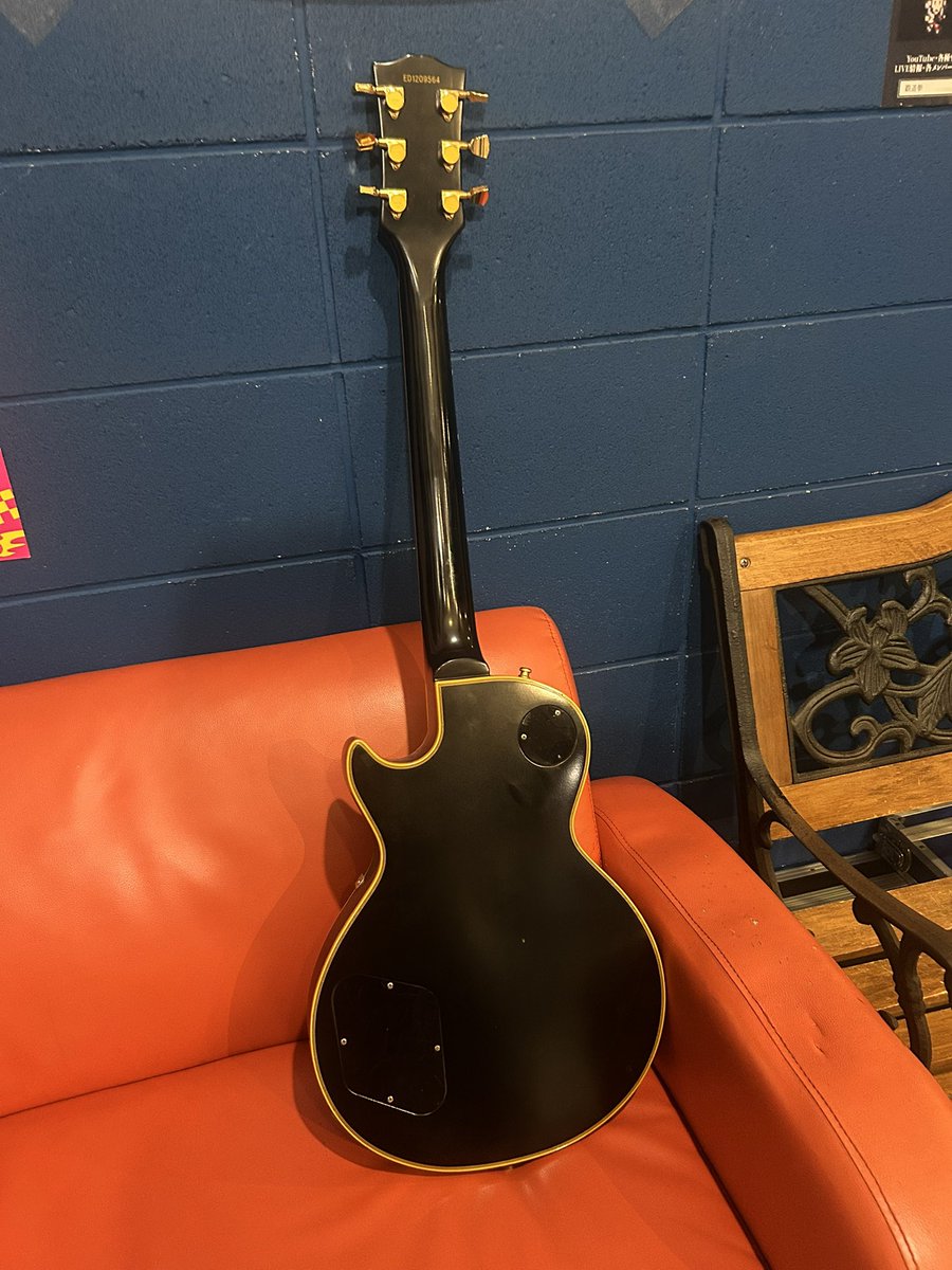 不定形な犬 tweet media