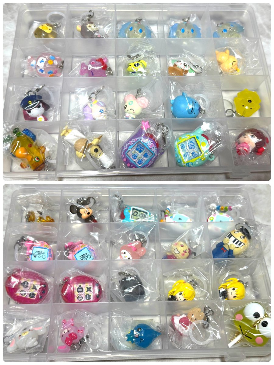 ❀蘇枋せりまる❀ tweet media