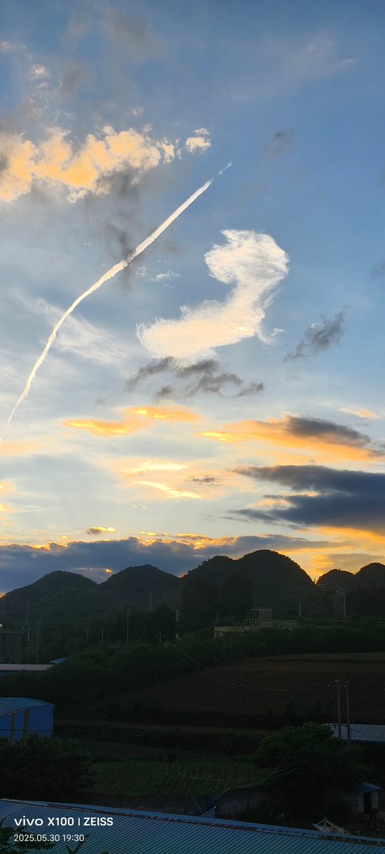 marian valero tweet media