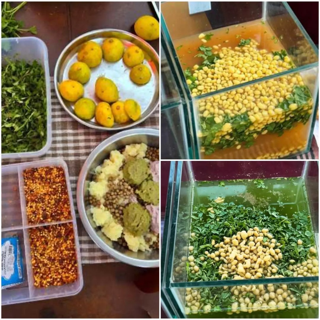 middaygujarati's tweet image. જ્યાફતઃ અમદાવાદમાં તમે રાયતા ફ્લેવર પાણીપુરી માણવાનું રખે ચૂકતા

#MiddayGujarati #AhmedabadFood #PaniPuriLovers #રાયતુંફ્લેવર #StreetFoodIndia #FoodieAlert

gujaratimidday.com/lifestyle-news…