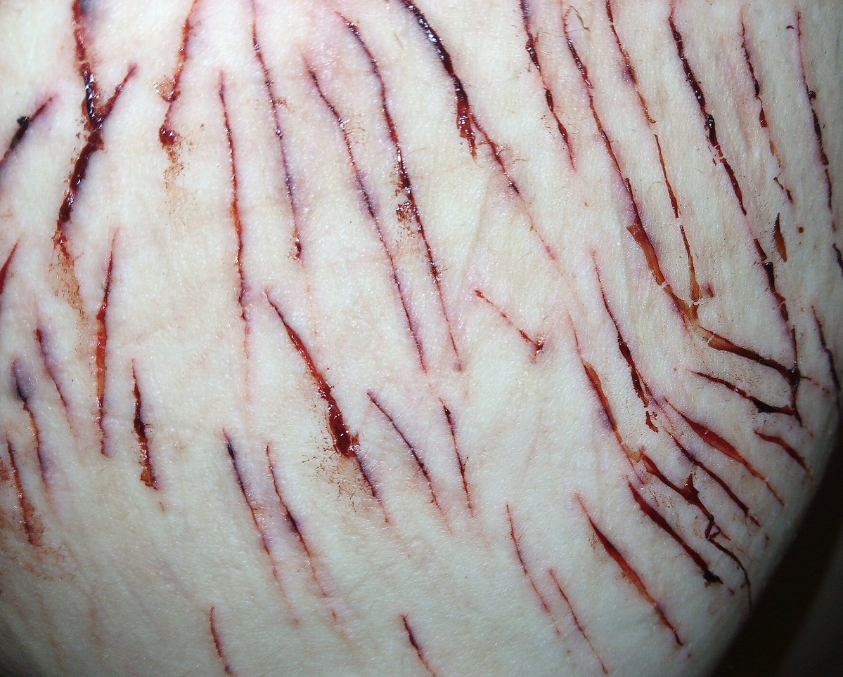 Fish! 🪐 🛸 tweet media