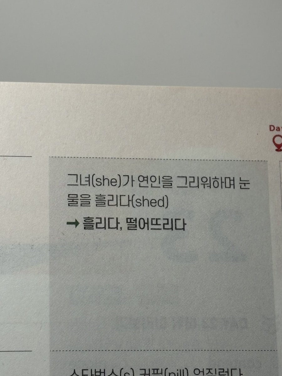 수댕이 tweet media