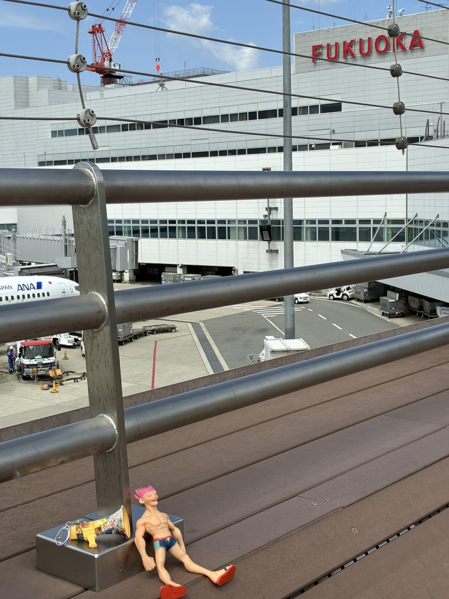 めぐみん👑🐃 tweet media