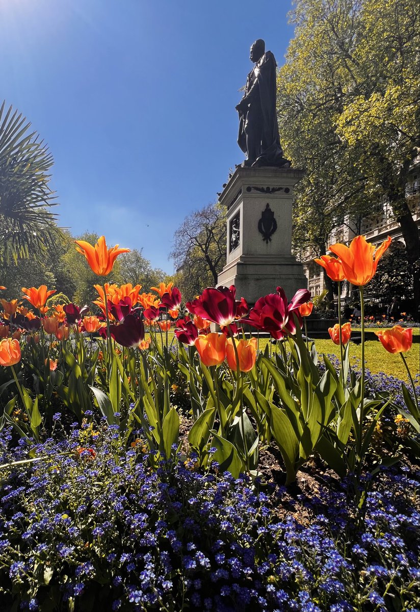 1000Rach's tweet image. Walk with me through... 
Victoria Embankment Gardens 🧡❤️💜

#Friday #Flowers #FlowersOnFriday #FlowersOnX #London