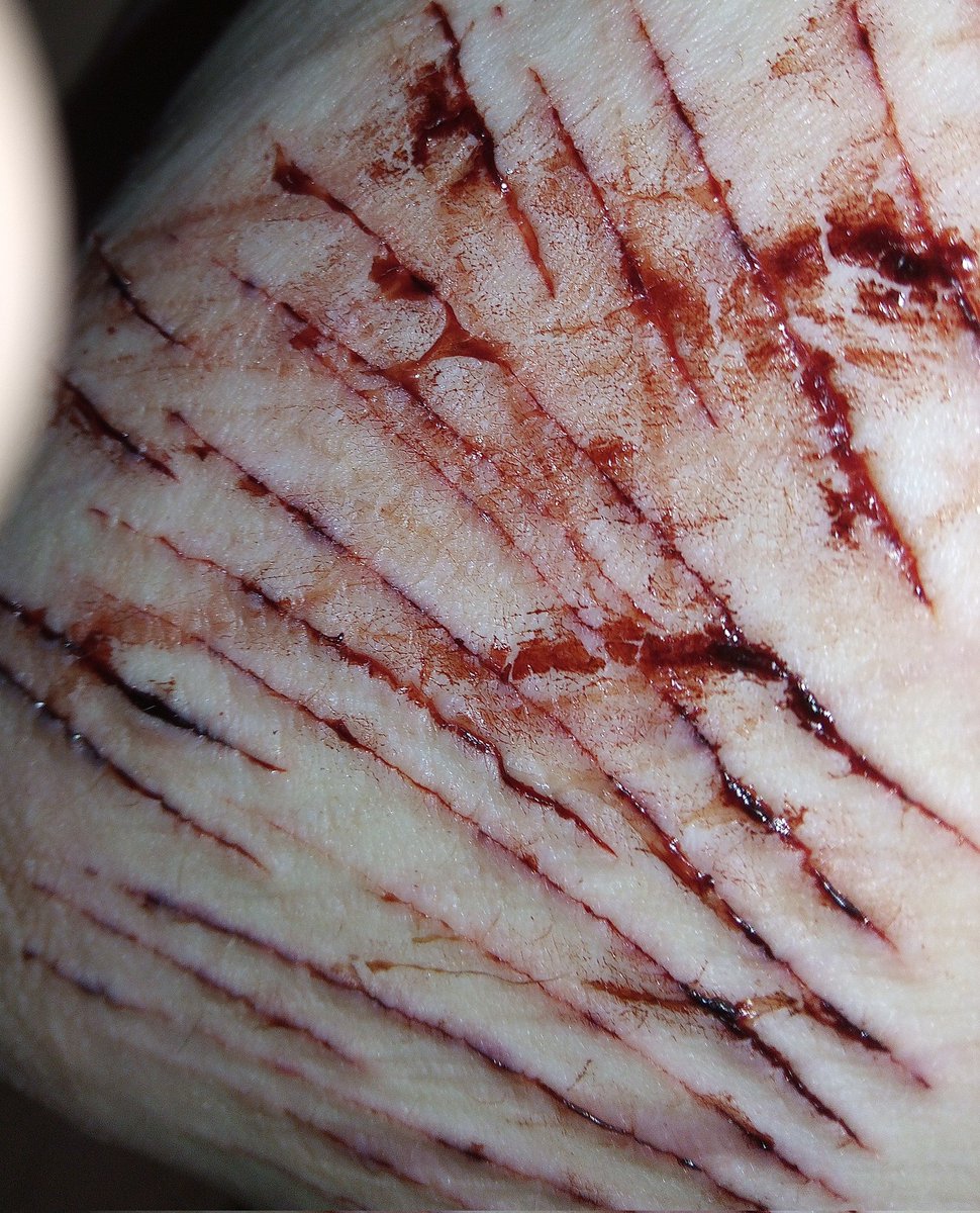 Fish! 🪐 🛸 tweet media